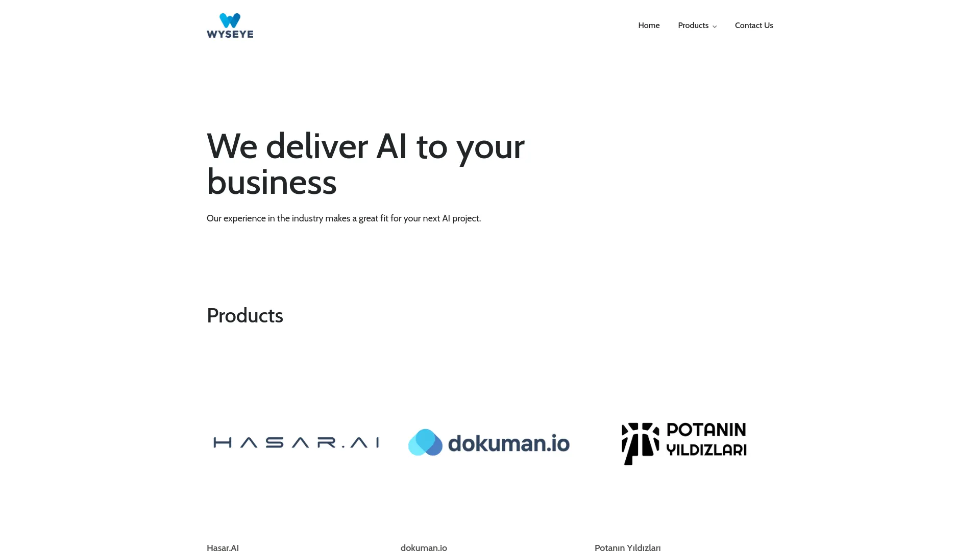 Screenshot of the Wyseye product page