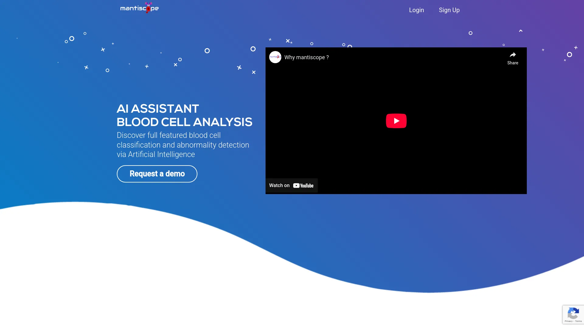 Screenshot of the product page