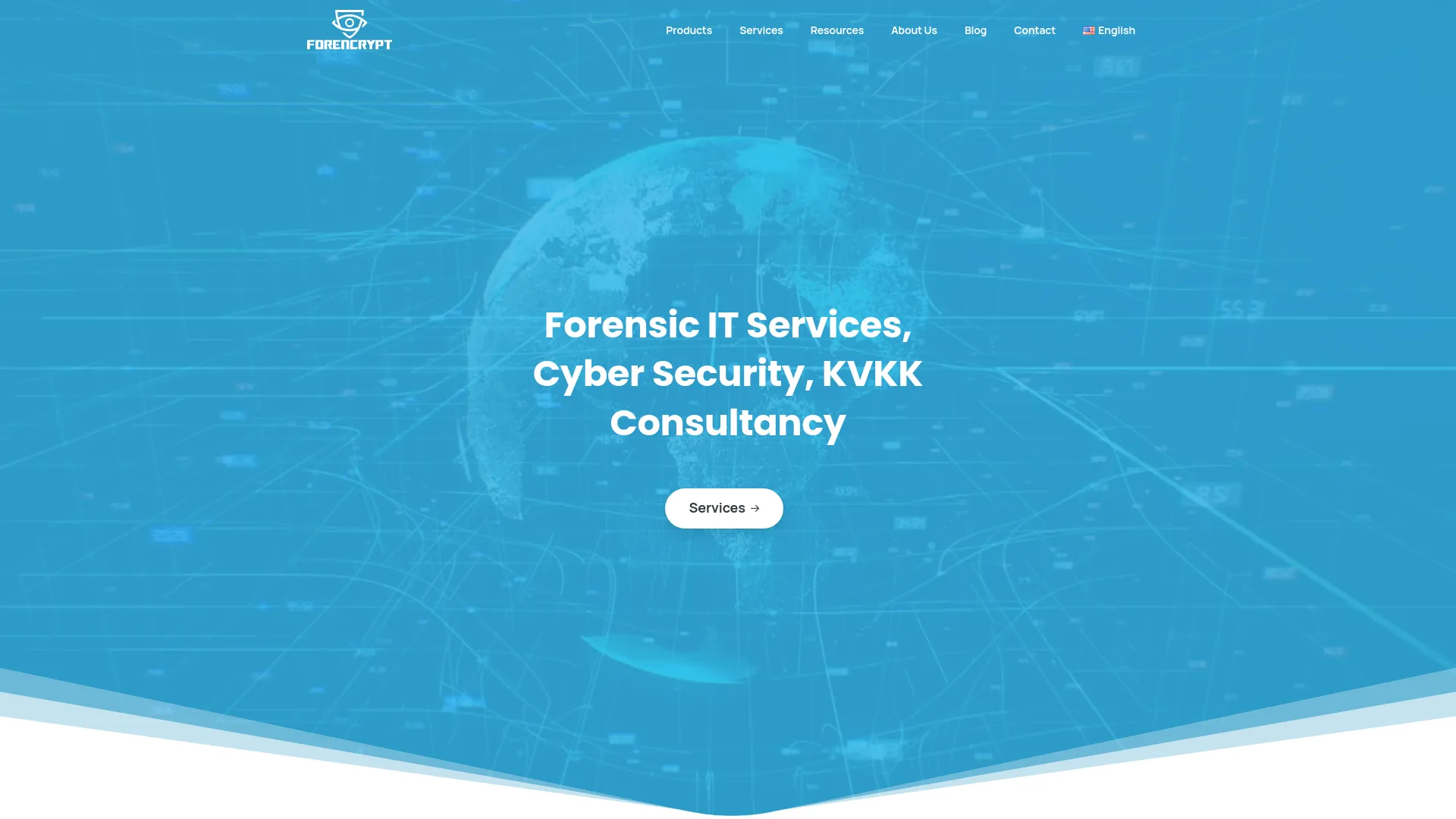 Screenshot of the FORENCRYPT BİLİŞİM product page