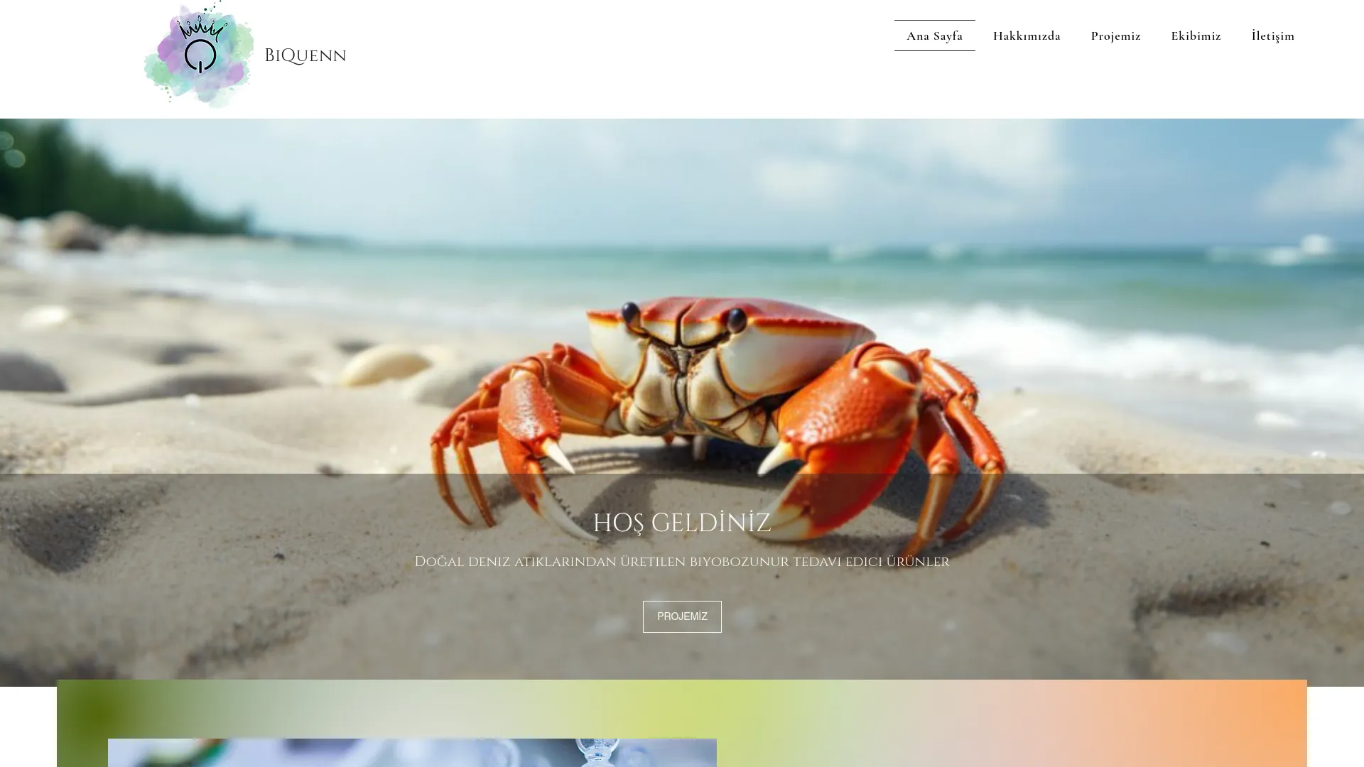 Screenshot of the Biyobozunur Bitki Ekstratlı Yara Örtüleri product page