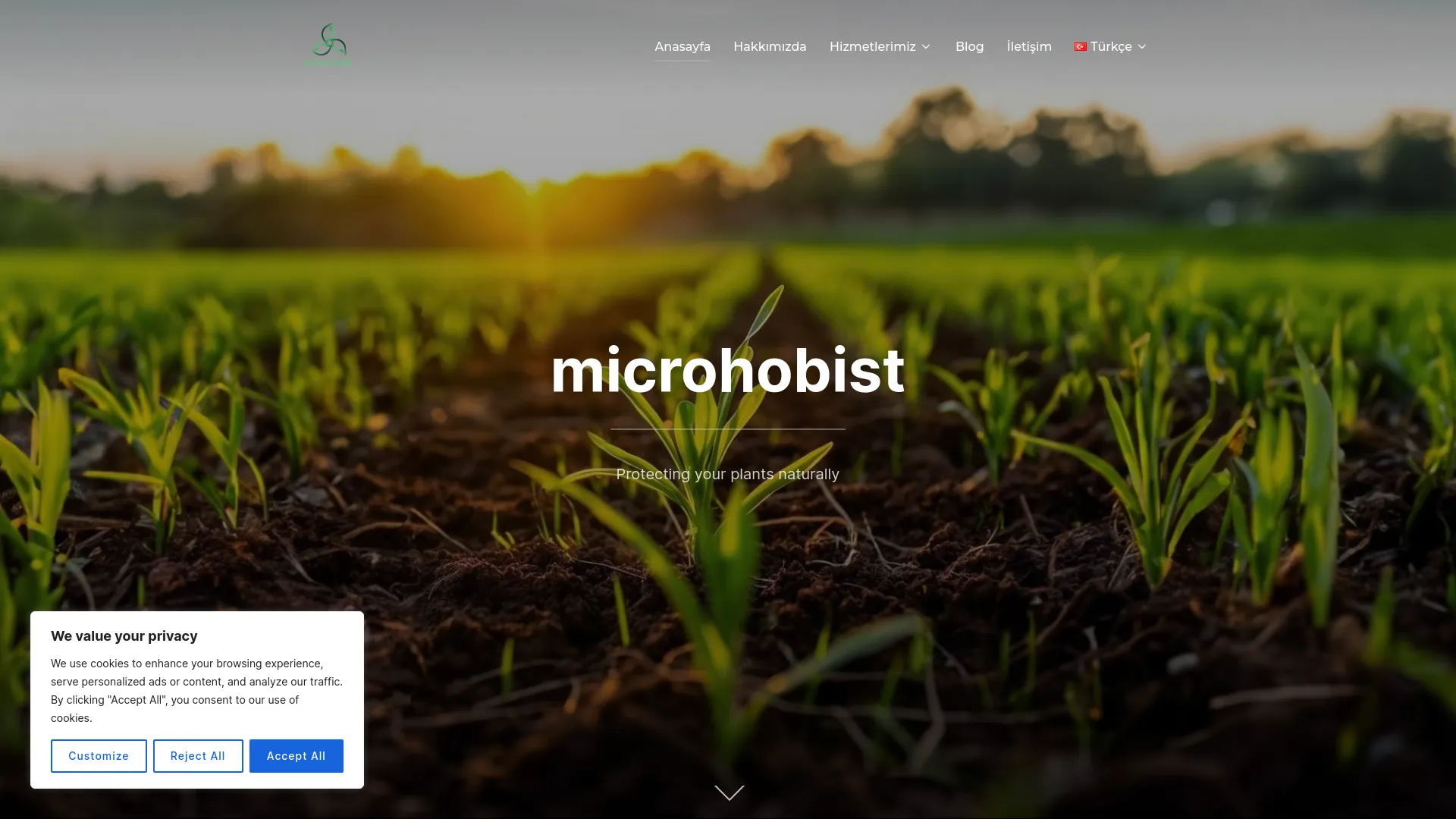 Screenshot of the Microhobist Biotechnology product page
