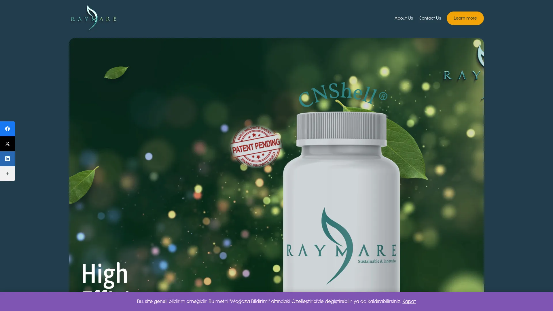 Screenshot of the RAYMARE product page
