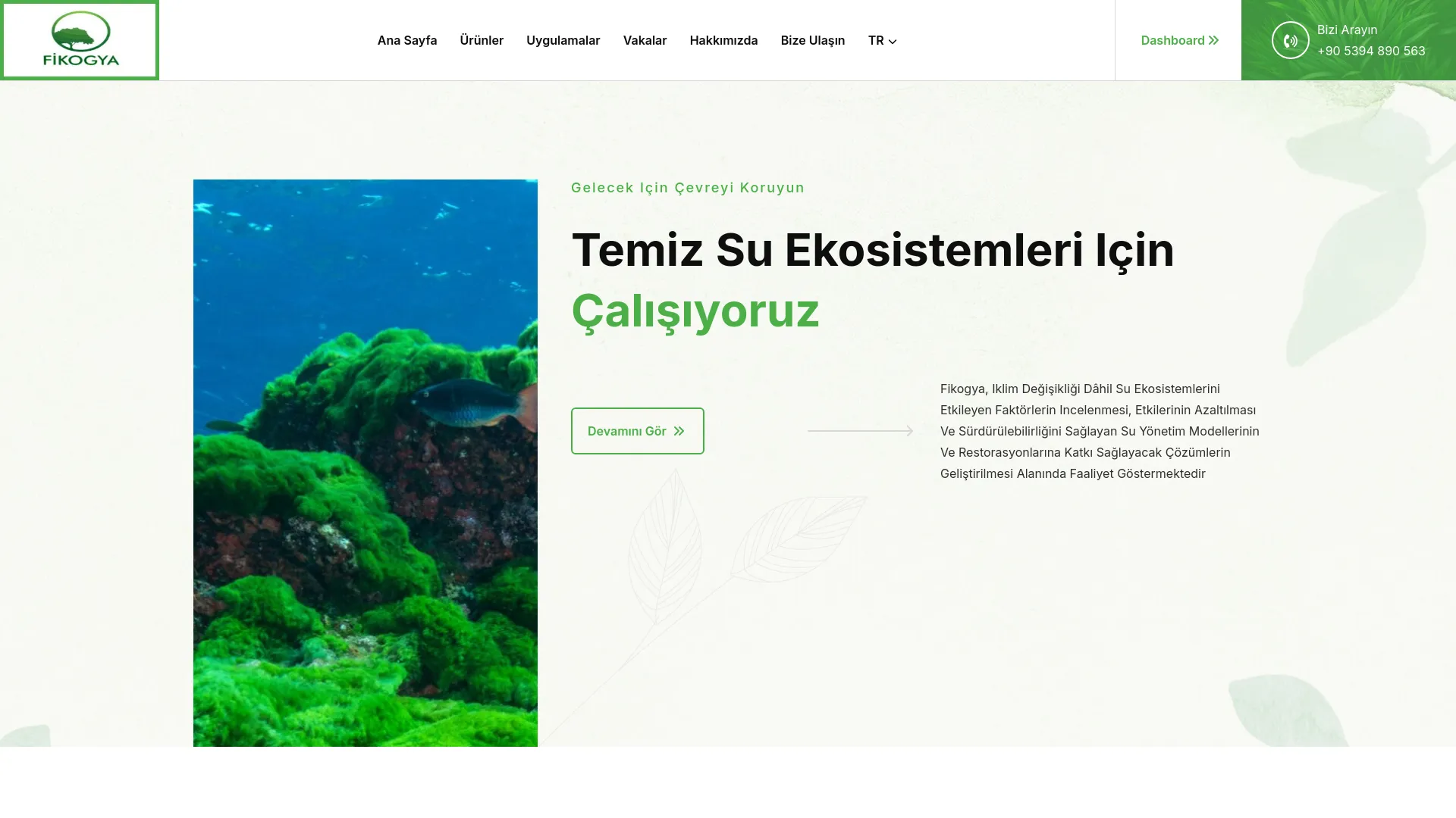 Screenshot of the FİKOGYA product page