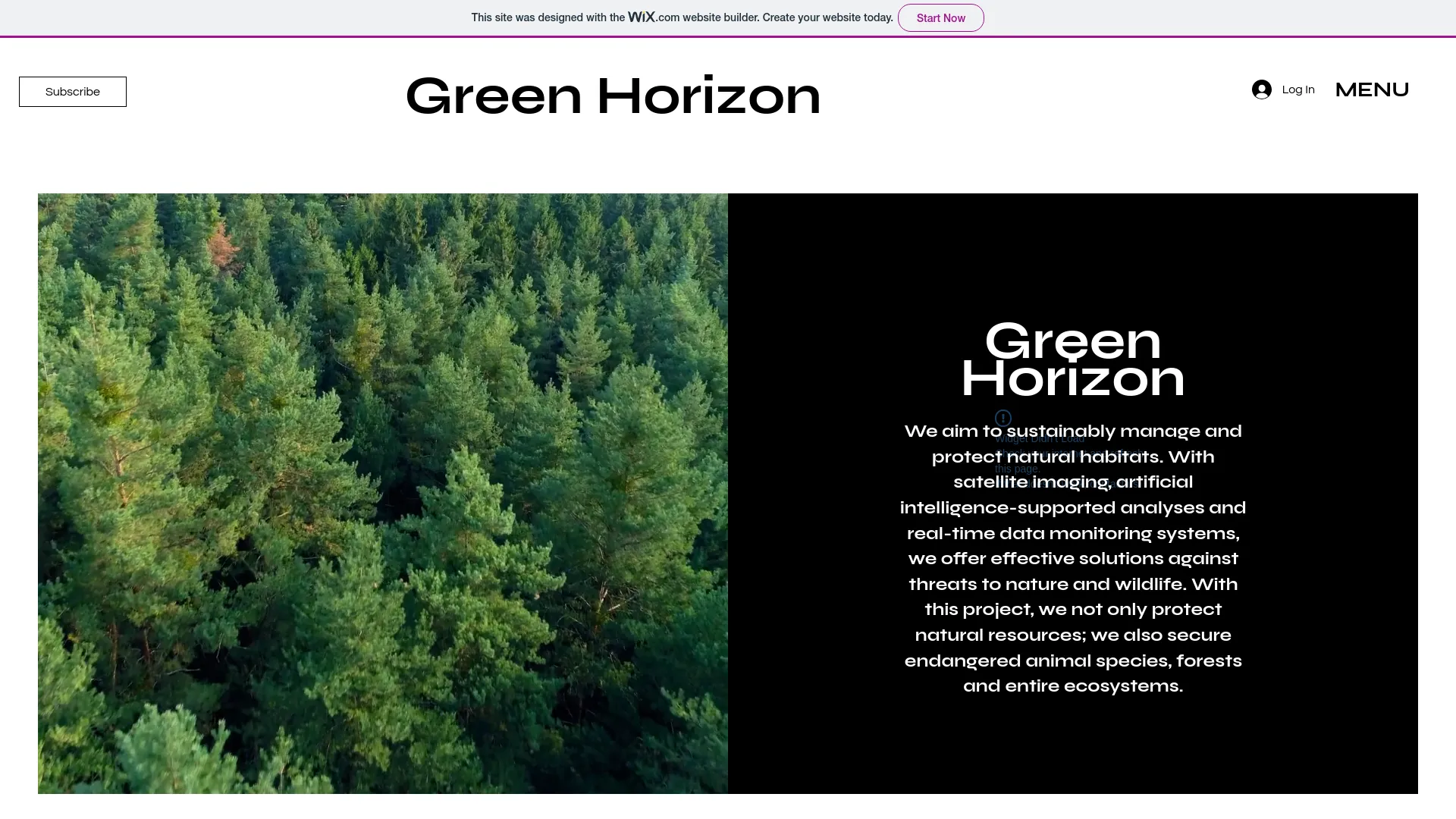 Screenshot of the Green Horizon product page