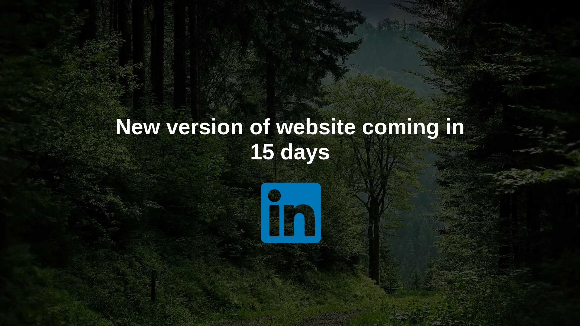 Screenshot of the Forest Hero Ltd product page