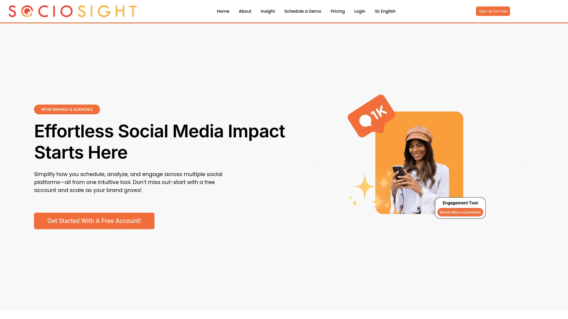 Screenshot of the Sociosight product page