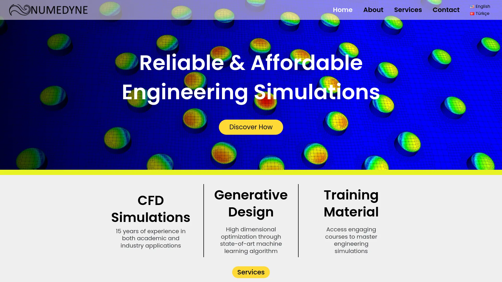 Screenshot of the Numedyne product page