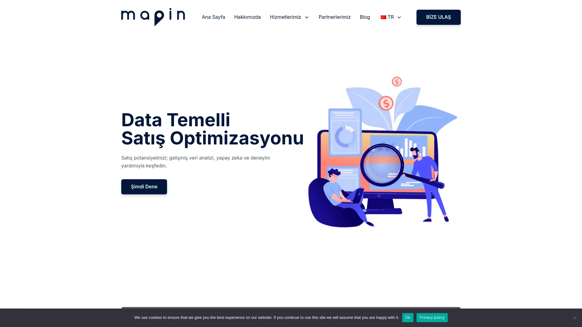 Screenshot of the Mapin Data product page