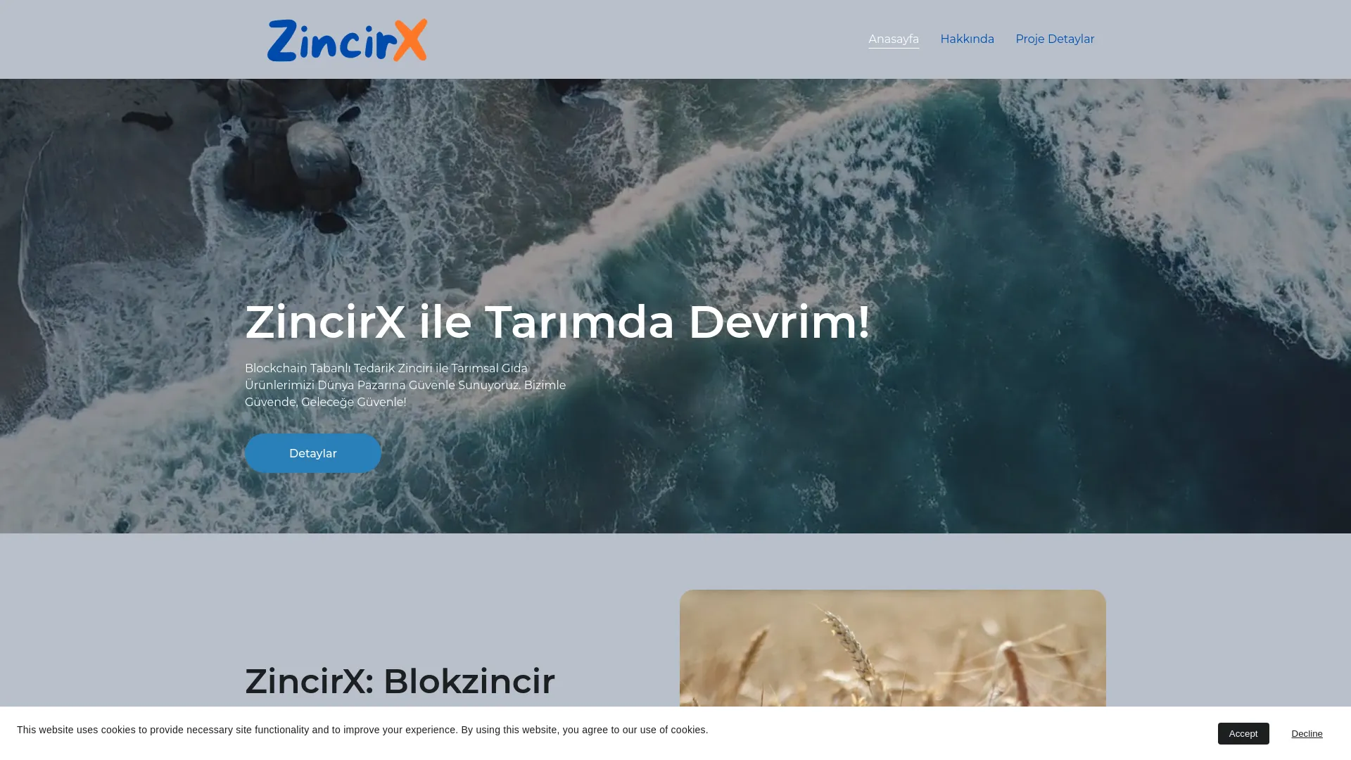 Screenshot of the ZincirX product page