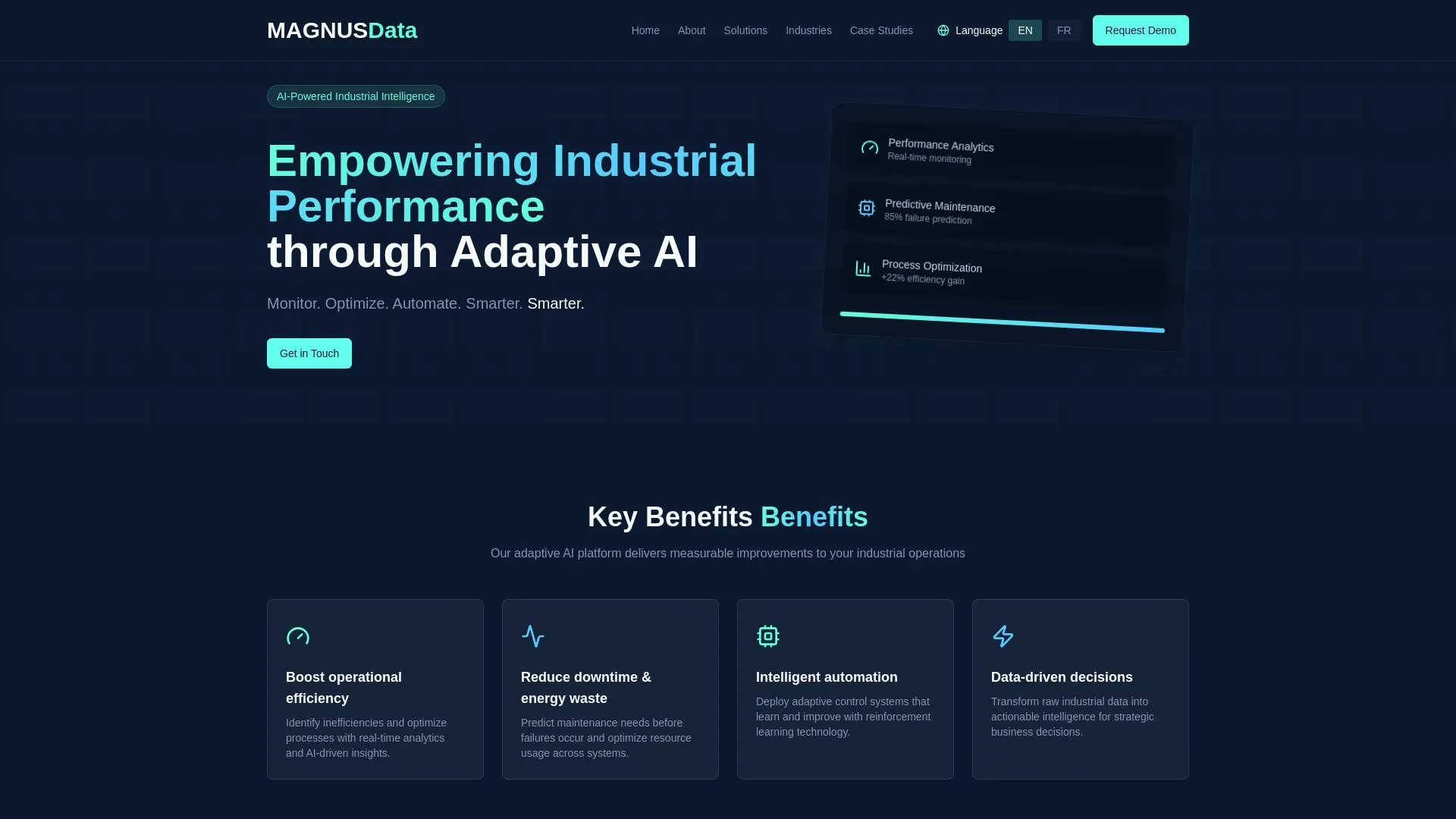 Screenshot of the MAGNUS DATA product page
